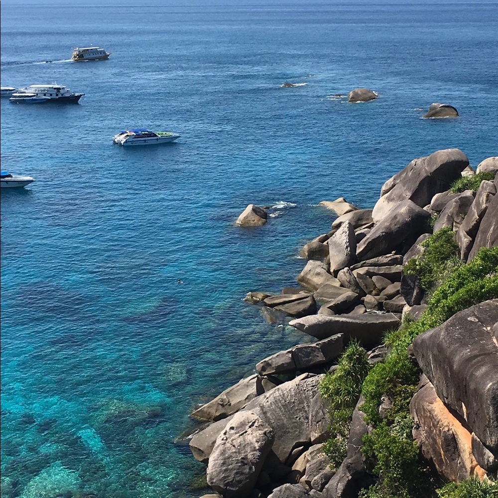 Meet your Posher, Kataliya